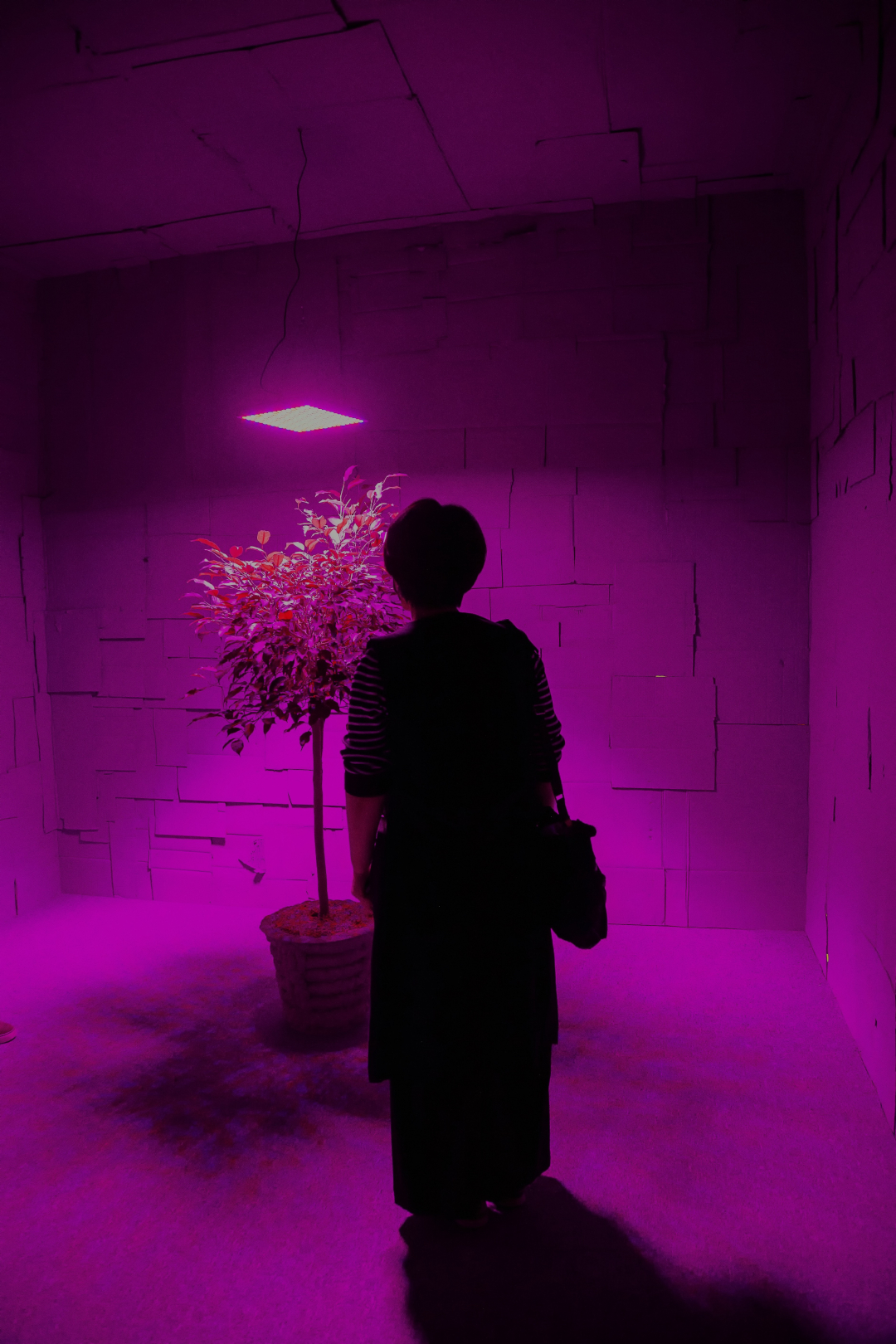 Anssi_inside_Sohee Kim